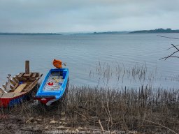 20180411_060754_900_